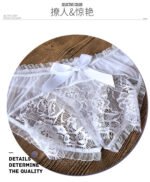 Eyelash Lace Sheer Mesh Crotchless T‑Back Lingerie Panties for Women - Image 3
